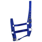 Royal Blue / Full