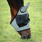 Party Cheetah / Cob