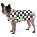 Skater Pup / 16