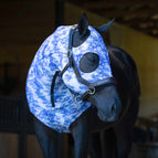 Equestrian Toile / Cob