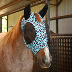 Party Cheetah / Cob