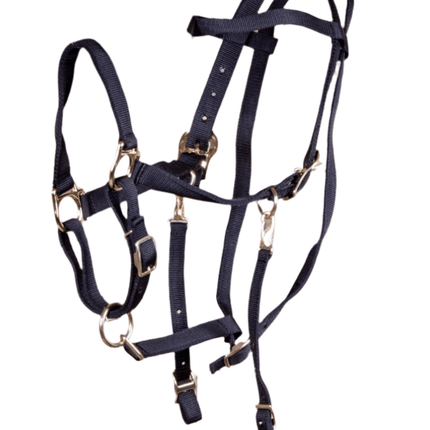 Jeffers Nylon Combination Horse Halter Bridle with Reins