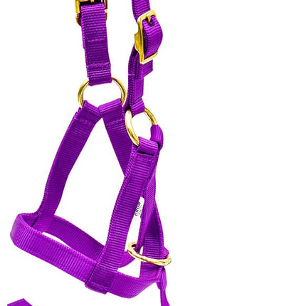 Jeffers Nylon "Grow With Me" Weanling Horse Halter