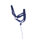 Black / Yearling