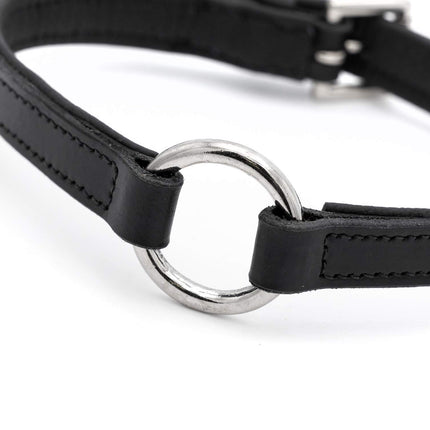 Jeffers Padded Black Leather Dog Collars with O-Ring and Nickel Hardware