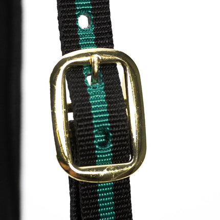 Jeffers Padded Nylon Horse Halter with Throat Snap