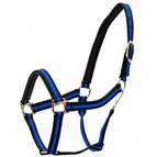Blue/Black / Horse