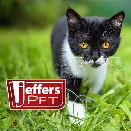 Jeffers Low Profile Stainless Steel Double Diner Pet Bowls