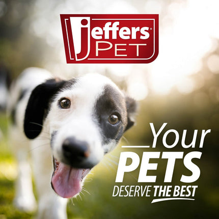 Jeffers Flat Leather Dog Leash with Hand Strap Handle, 6'L