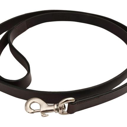 Jeffers Premium Brown Flat Leather Leash, 6'