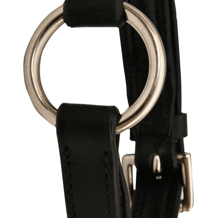 Jeffers Premium Padded Black Leather Dog Collars