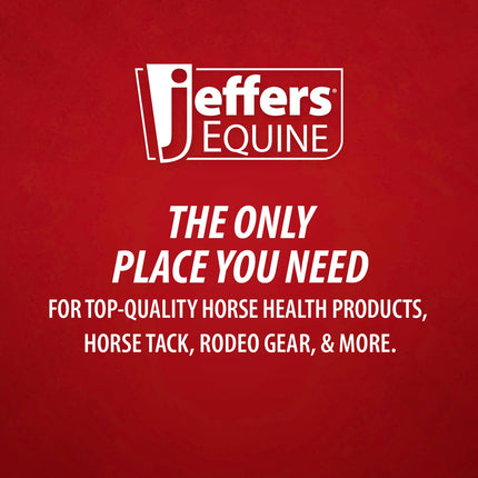 Jeffers Equine Tail & Mane Detangler and Conditioner for Horses
