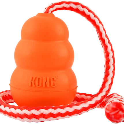 KONG Aqua Floating Water Dog Toy