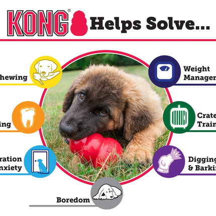 KONG Classic Dog Toy