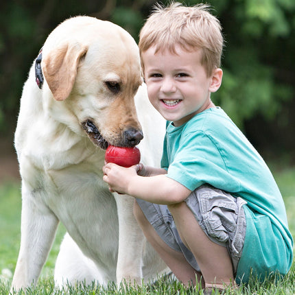 KONG Classic Dog Toy
