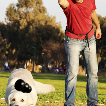 KONG Extreme Treat-Stuffing Dog Toy for Power Chewers