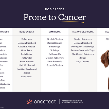 Oncotect Essential At-Home Dog Cancer Screening Test Kit