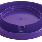 Base Only / Purple / 1 Gallon