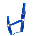 Royal Blue / Weanling (250-400 lbs)