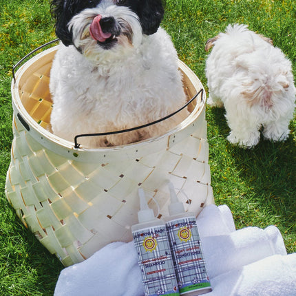 (No Fragrance) Super Sensitive™ Puppy + Dog + Kitty Wash