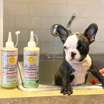 (No Fragrance) Super Sensitive™ Puppy + Dog + Kitty Wash