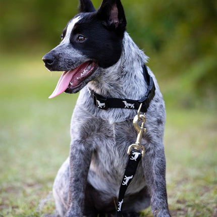 Jeffers Reflective Hound Series Adjustable Nylon Dog Collars