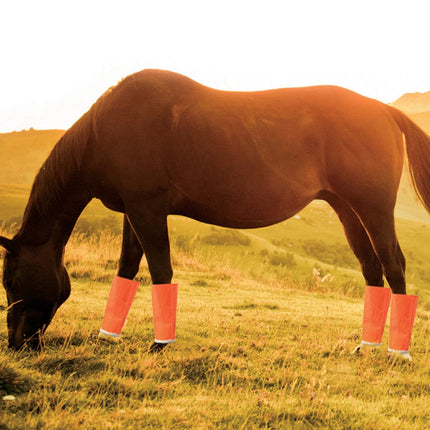 Shoofly Leggins Fine Mesh Fly Boots for Horses, 4 Pack