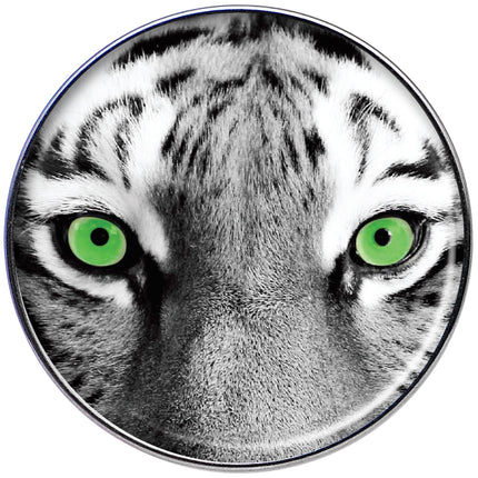 16G 1/4 Black White Tiger Eyes Tragus Cartilage Earring