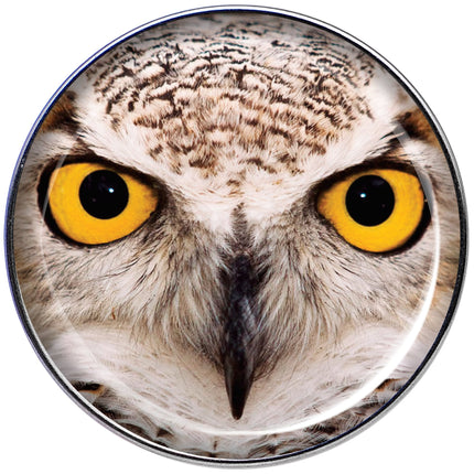 16G 1/4 Full Color Owl Tragus Cartilage Earring